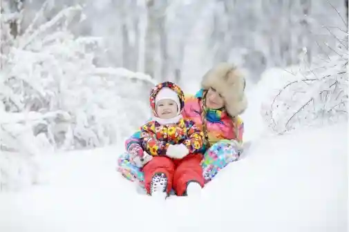 Hotels in Manali and Shimla